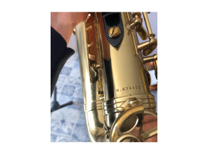 Selmer ALTO SUPER ACTION II (20942)