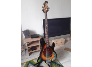 Music Man StingRay 4 (9399)