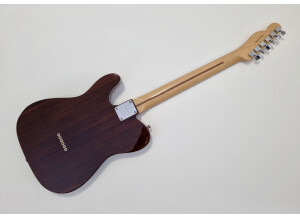 Fender Tele-Bration Lite Rosewood Telecaster (38117)