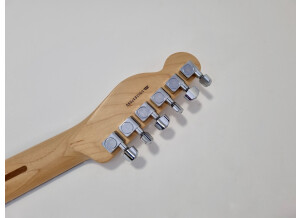 Fender Tele-Bration Lite Rosewood Telecaster (4774)