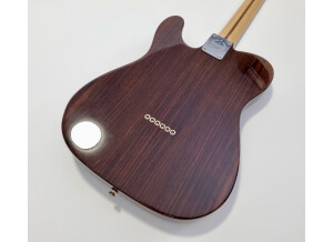 Fender Tele-Bration Lite Rosewood Telecaster