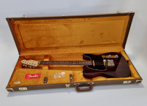 Fender Tele-Bration Lite Rosewood Telecaster (95253)