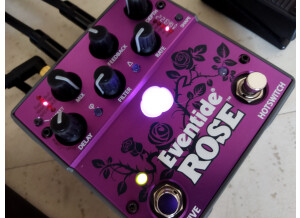 Eventide Rose (72554)