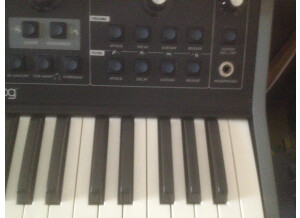 Moog Music Little Phatty Stage II (69472)