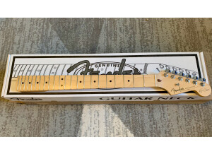 Manche Strat Fender Clapton  - 19