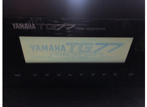 Yamaha TG77 (14018)