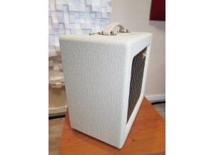 Vox AC4TV (65377)