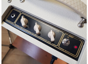 Vox AC4TV (15084)