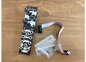 Noise Engineering Seca Ruina (5582)