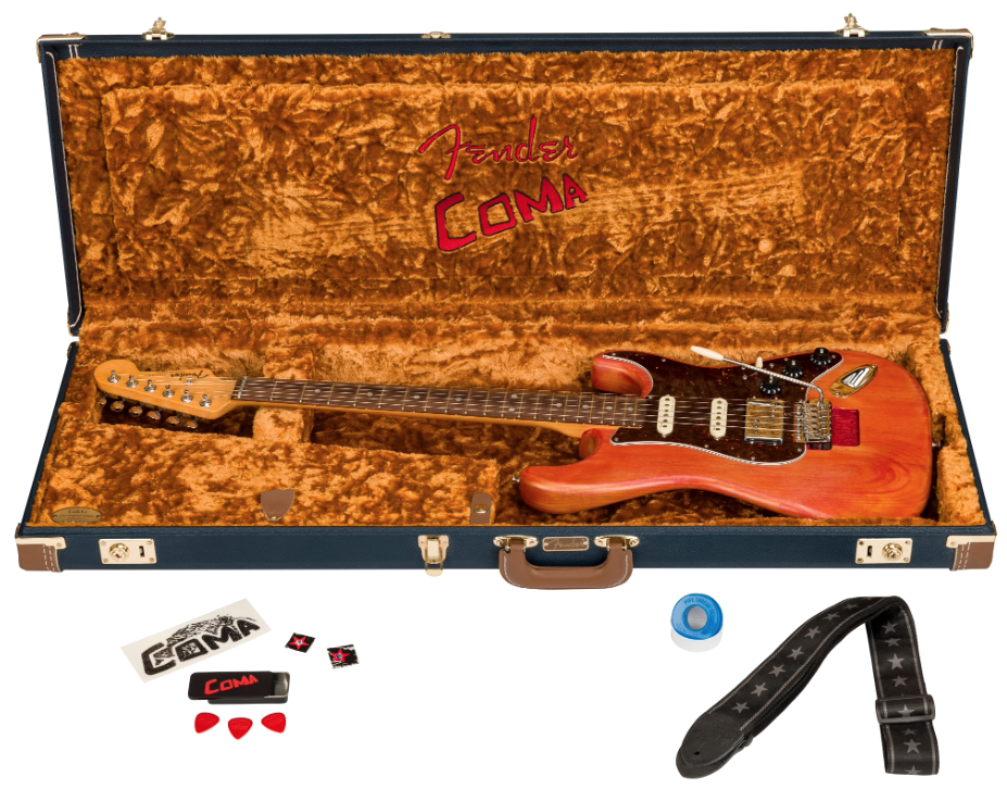 MichaelLandauComaCase