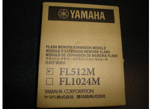 Yamaha FL512M (23181)