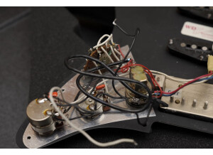 Fender Pickguard Loaded
