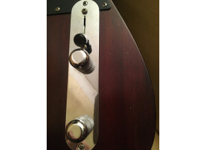 Fender Limited Edition American Vintage Hot Rod '50s Tele Reclaimed Redwood (30060)