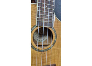 Ibanez UEW20SME