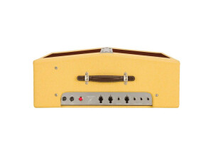 Fender Joe Bonamassa Dual Professional Amp