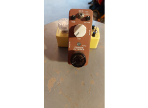 Mooer Tender Octaver MKII (70020)