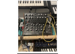 Moog Music DFAM (Drummer From Another Mother) (91352)
