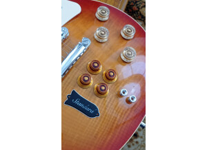 Gibson Les Paul Standard Plus