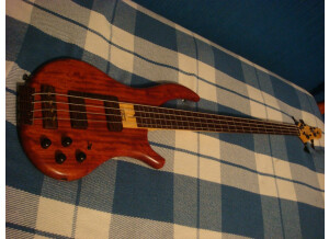 Noguera Expression 4 Cordes