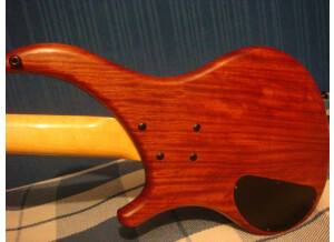 Noguera Expression 4 Cordes