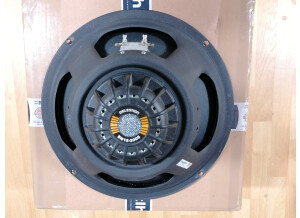 Celestion BN12-300S