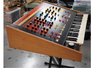 EMS Polysynthi (43014)