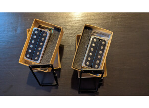 PXL 20230321 173947771