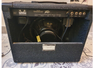 Peavey Bravo1
