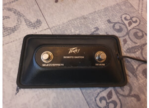 Peavey Bravo2