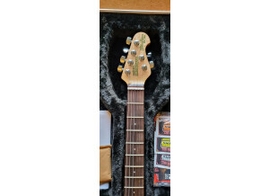 Music Man Steve Morse SM-Y2D (61135)