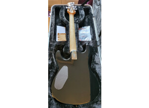 Music Man Steve Morse SM-Y2D (90718)