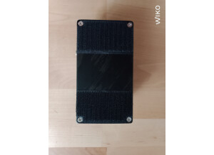 Lucydreamer Bass back