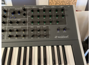Waldorf Quantum (29450)