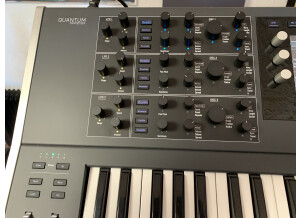 Waldorf Quantum (25235)