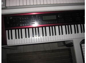 IMG 4999