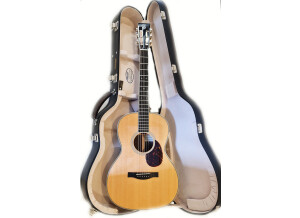 Santa Cruz 000 Model (77785)