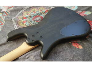 Spector Legend Classic corps verso 1