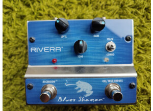 Rivera Blues Shaman