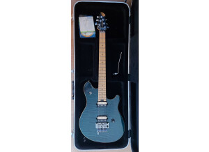 Peavey EVH Wolfgang Special TR (28304)