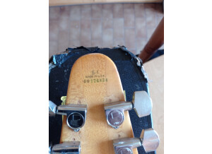 IMG 20230328 155350