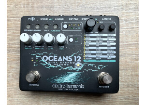 Electro-Harmonix Oceans 12 (27049)