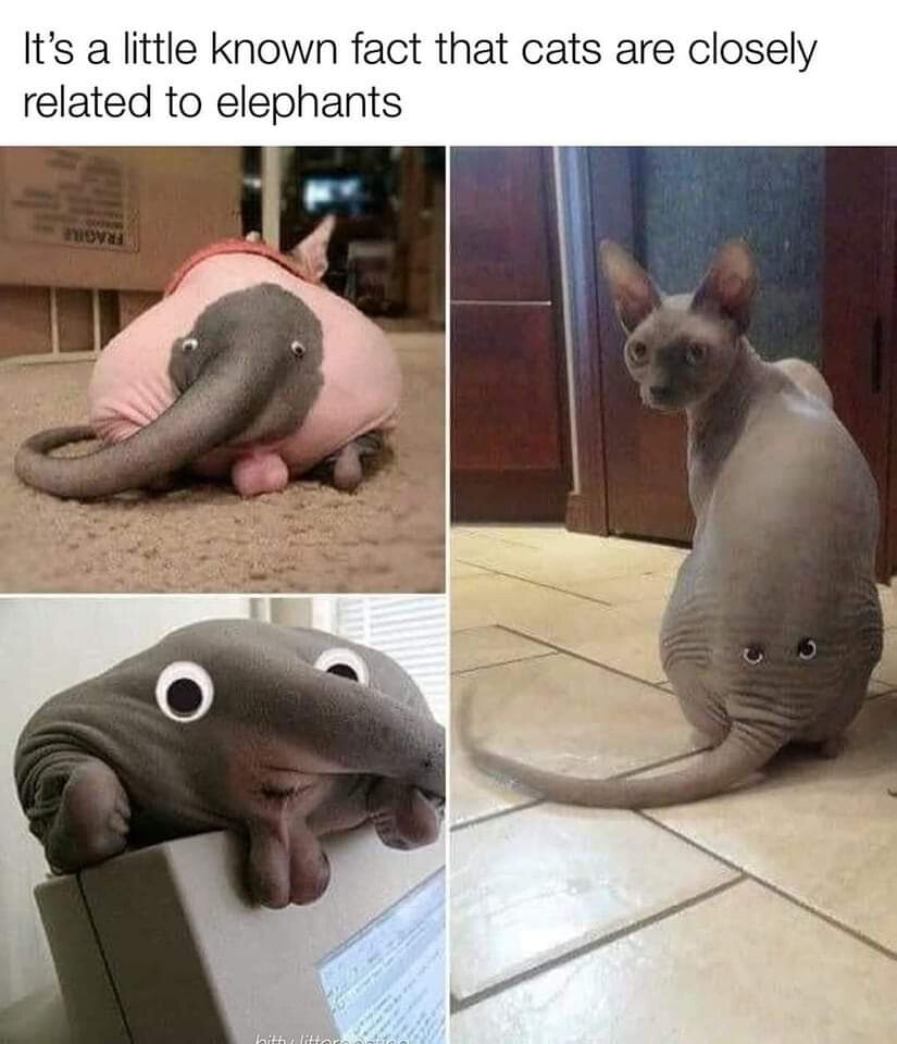 5645327.jpg 5645327.jpg