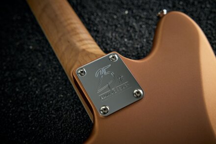 Harley Benton JA-25TH : JA-25THNECKPLATE Harley Benton JA-25TH : JA-25THNECKPLATE