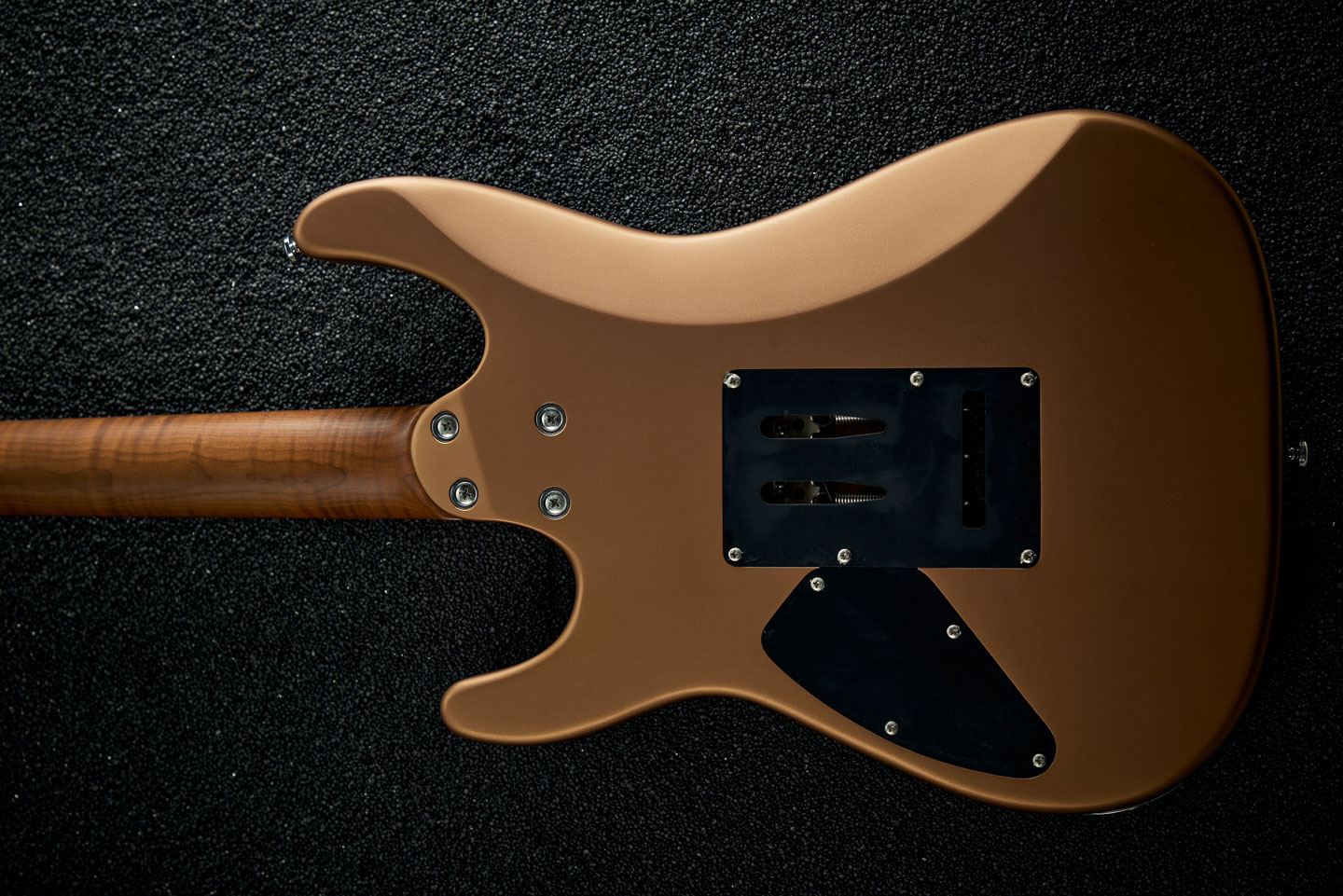 Harley Benton Fusion-III 25TH : Fusion-III 25THBACK