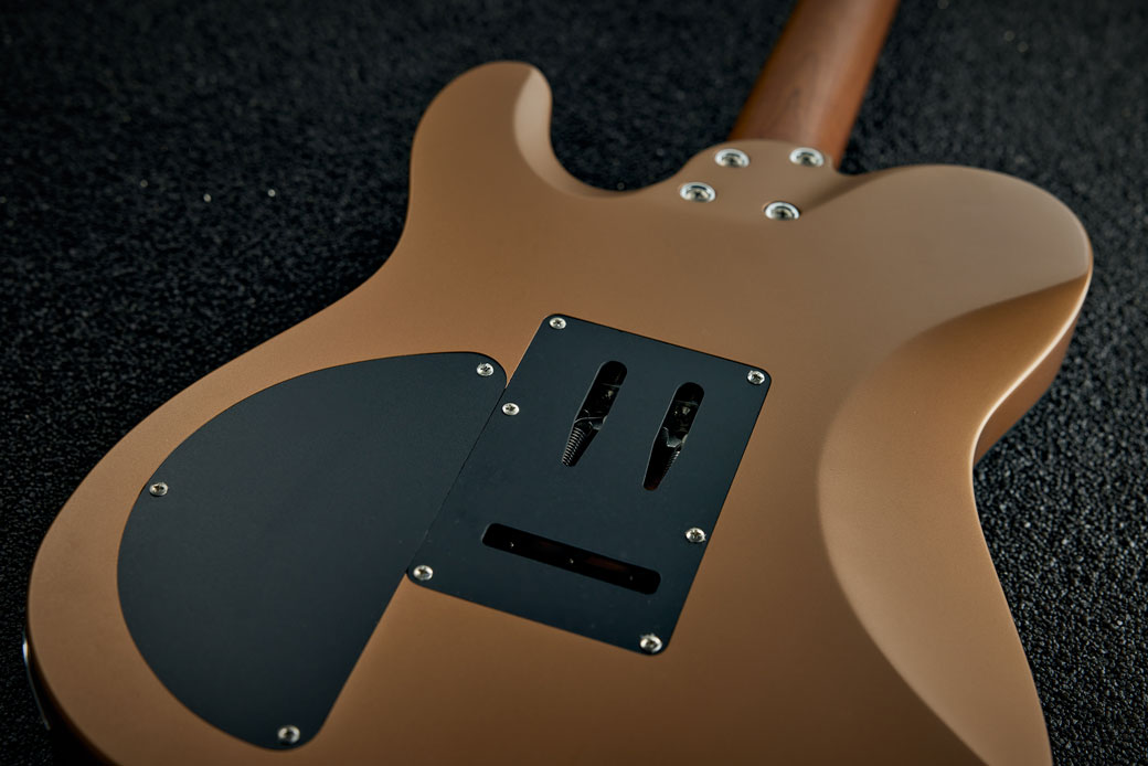 Harley Benton Fusion-T 25TH : Fusion-T 25THBACK