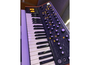 Moog Music SUB 37 (76578)