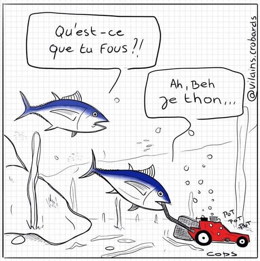 5646662.jpg 5646662.jpg