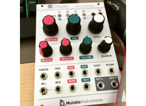Mutable Instruments Clouds (37995)