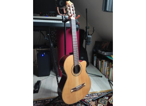 Alhambra Guitars CS-1 CW E2 (77806)