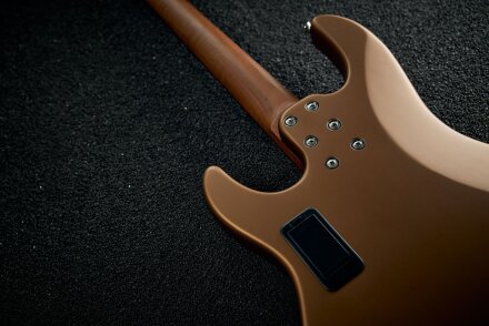 Harley Benton Enhanced 25TH : Enhanced 25THNECKJOINT Harley Benton Enhanced 25TH : Enhanced 25THNECKJOINT